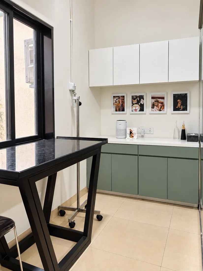 NOVA Veterinary — Consultation room