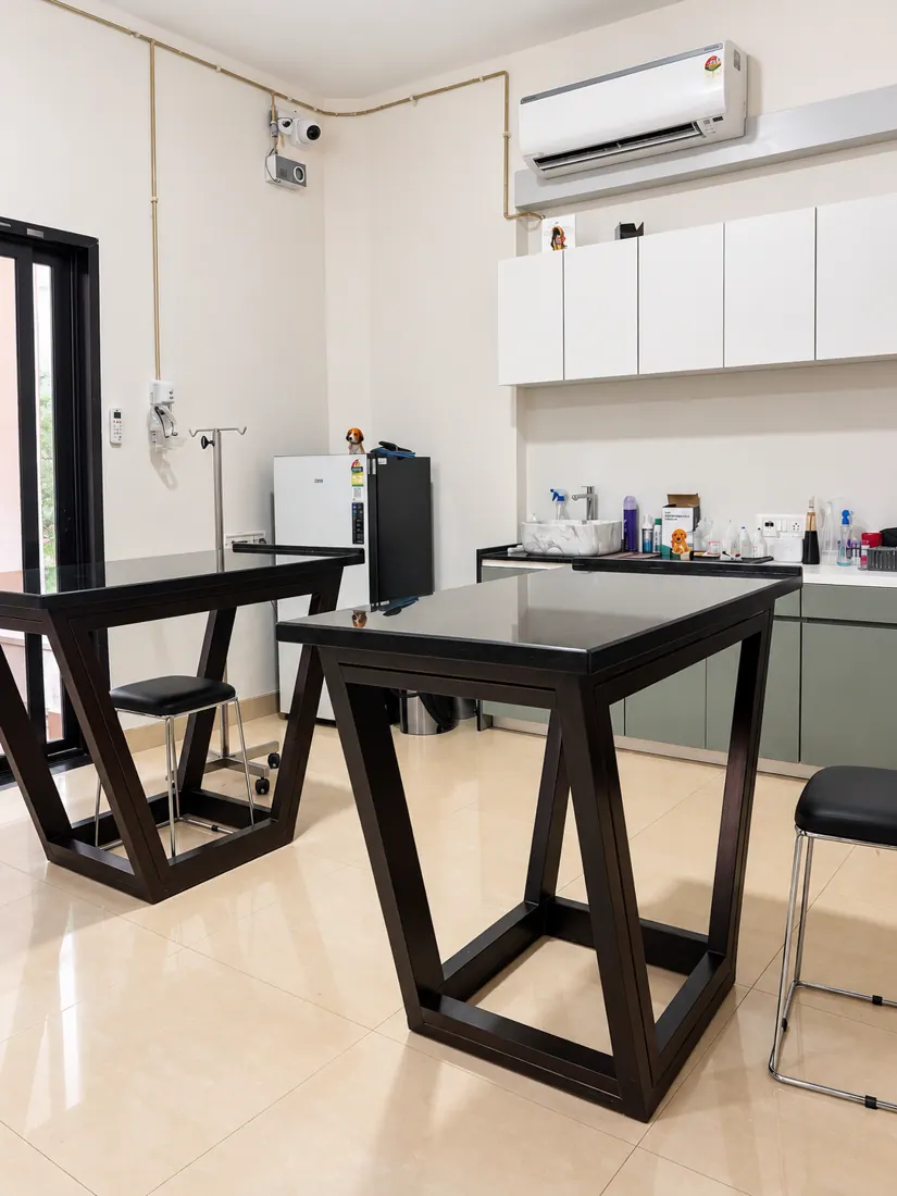 NOVA Veterinary — Consultation spaces