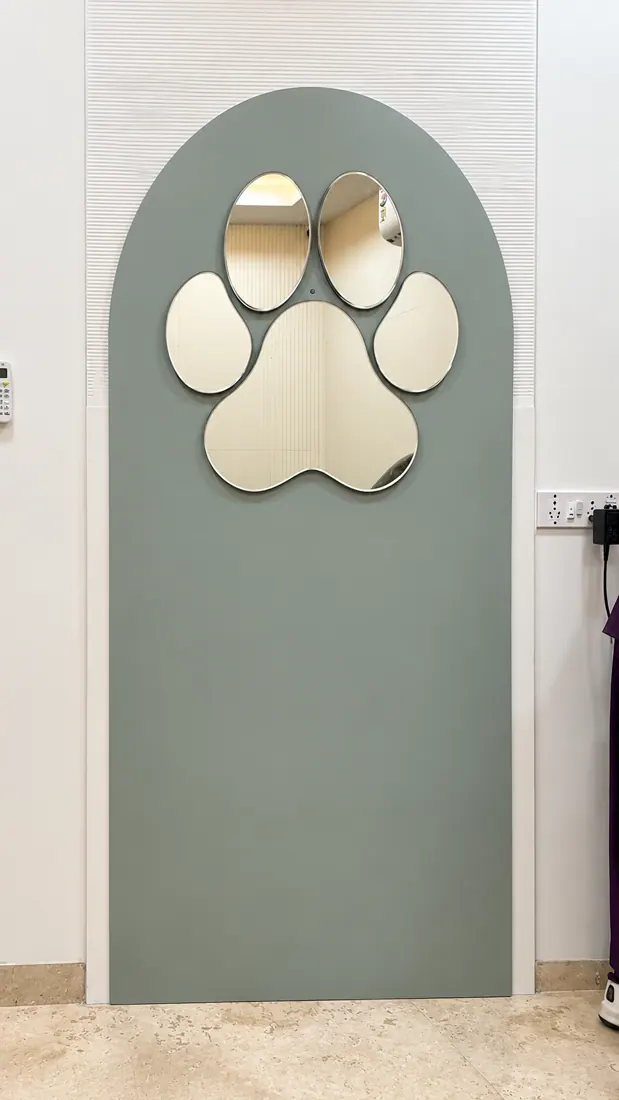 NOVA Veterinary — A special NOVA detail